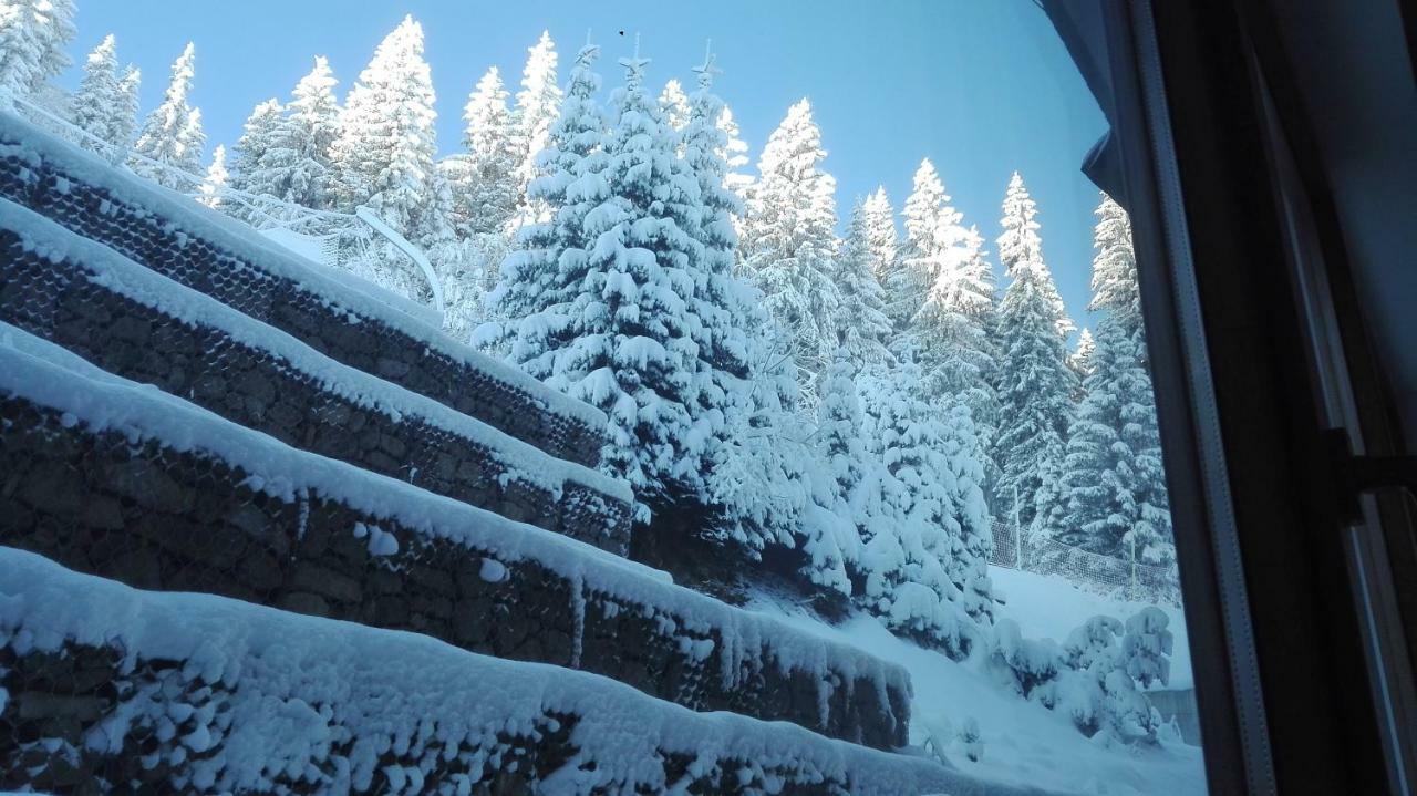 Apartments In Complex Grand Manastira Pamporovo Exterior foto